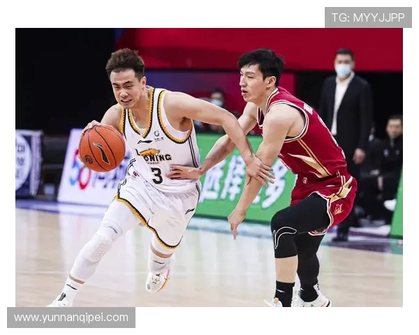 赵继伟领衔中国男篮新一代崛起探索 篮球梦的追逐与坚持