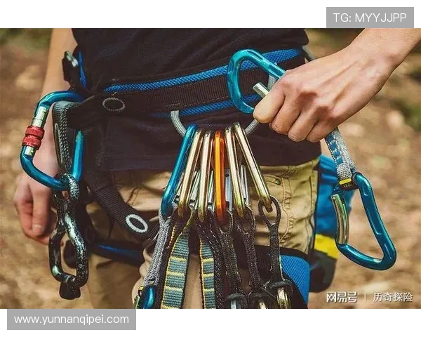 上海攀岩队转型之路的真实记录与成长探索之旅